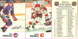 88-89 Esso All-Stars Hockey Cards