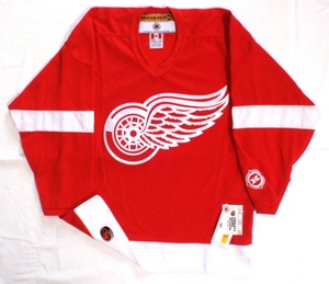 Detroit Red Wings semi-pro youth hockey jersey