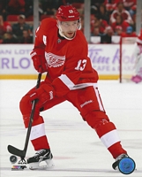 Detroit Red Wings #13 Pavel Datsyuk Black Ice Jersey on sale,for