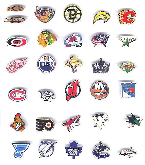 NEW Detroit Red Wings Hockey NHL Skates Lapel Pin Brooch #F3