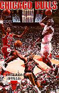 Miami Heat 2013 NBA Champions Commemorative Poster - Costacos – Sports  Poster Warehouse