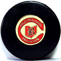 nhl hockey pucks for sale